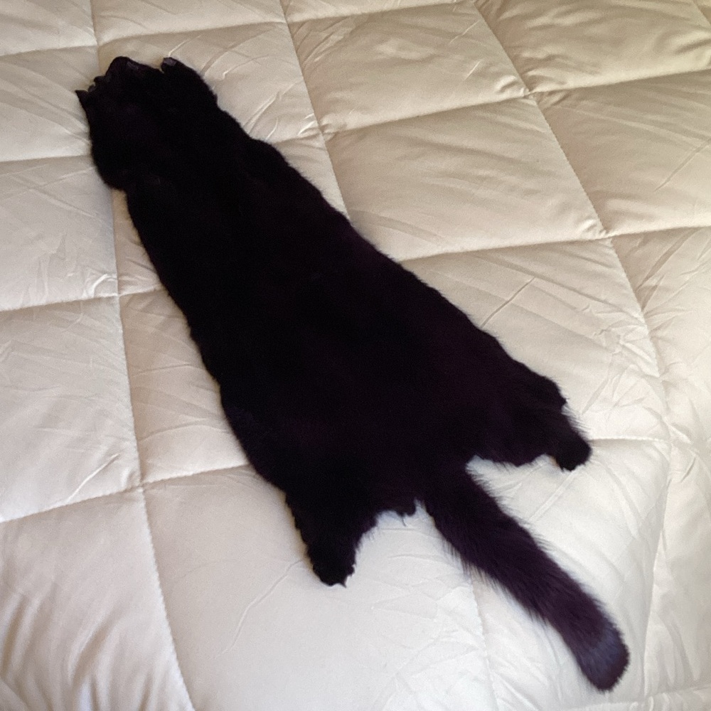 Luxurious purple mink skin.